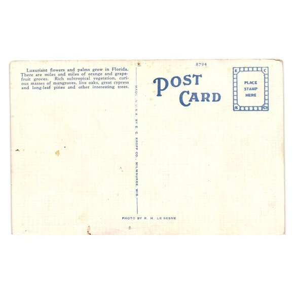 Beautiful Estate Florida Vintage Linen Postcard Landscape Photograph E C Kropp - Picture 2 of 2